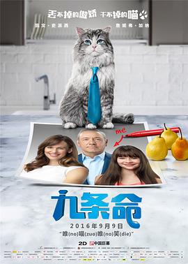 蓝光原盘在线观看