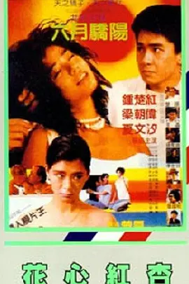 1080HD高清在线观看