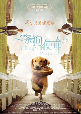 完整版电影在线观看