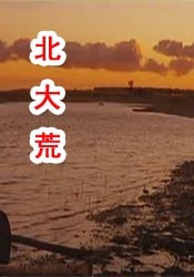 BD高清免费观看