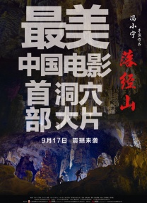 1080HD手机在线观看