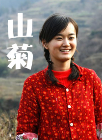 完结高清影视