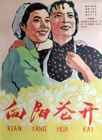 完结完整版观看